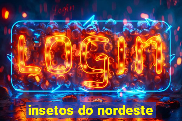 insetos do nordeste